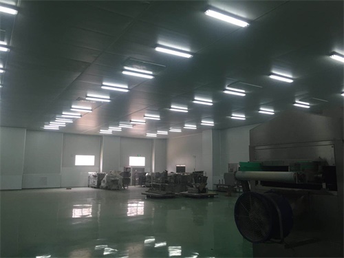 奉賢十萬級(jí)醫(yī)藥凈化車間裝修